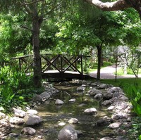 Peduli alam, Bill Gates mengedepankan konsep rumah yang hijau. Rumahnya dipenuhi berbagai tumbuhan dan pepohonan rindang yang pertumbuhannya dimonitor 24 jam oleh teknologi canggih. Bahkan terdapat sungai buatan yang arusnya diatur secara elektronik. (Foto: Businessinsider.sg)