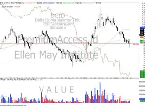 Ellen May: Kinerja Ciamik, Seberapa Besar Potensi Saham DOID?