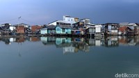 Sampah yang sebelumnya memenuhi rawa kini telah bersih.
