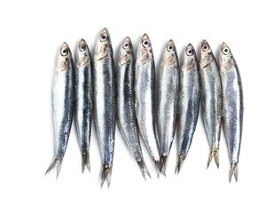 Waspadai! Ini 5 Daftar Ikan yang Mengandung Merkuri Tinggi