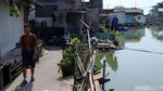 Mengintip Kampung Apung Kapuk yang Kini Bersih