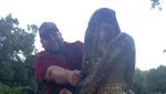 Penampakan Aligator yang Riuhkan Pesta Pasangan di AS