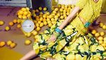 Keren! 10 Seni Fotografi Ini Tampilkan Model Cantik Bersama Makanan
