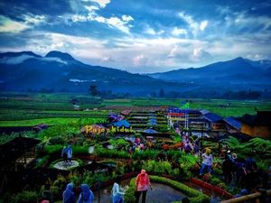 Jelajahi Alam Sambil Main Outbond Seru di Desa Wisata Pujon Kidul