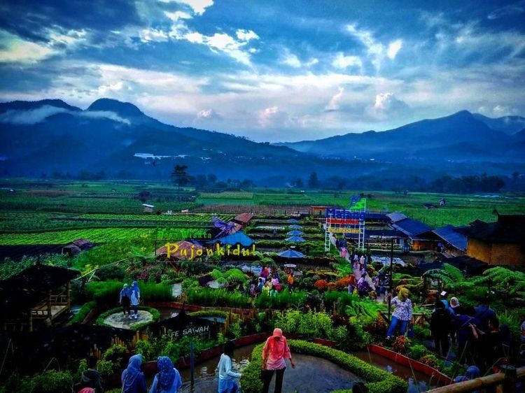 Foto: Pesona 7 Destinasi Malang yang Tak Ada Habisnya