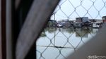 Mengintip Kampung Apung Kapuk yang Kini Bersih
