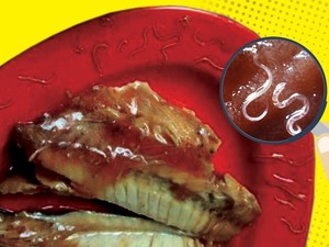 BPOM Sebut Makarel Bercacing Sebagai Fenomena Alam