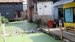 Mengintip Kampung Apung Kapuk yang Kini Bersih