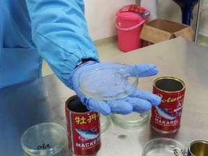 BBPOM Temukan 7 Produk Ikan Makarel Bercacing di Surabaya