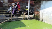Di beberapa titik, lumut masih terlihat.
