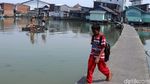 Mengintip Kampung Apung Kapuk yang Kini Bersih