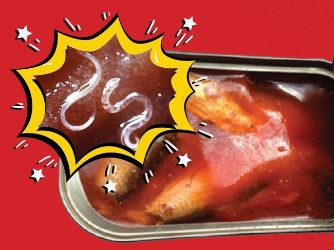 4 Jenis Cacing Parasit pada Ikan yang Juga Bisa Menginfeksi Manusia