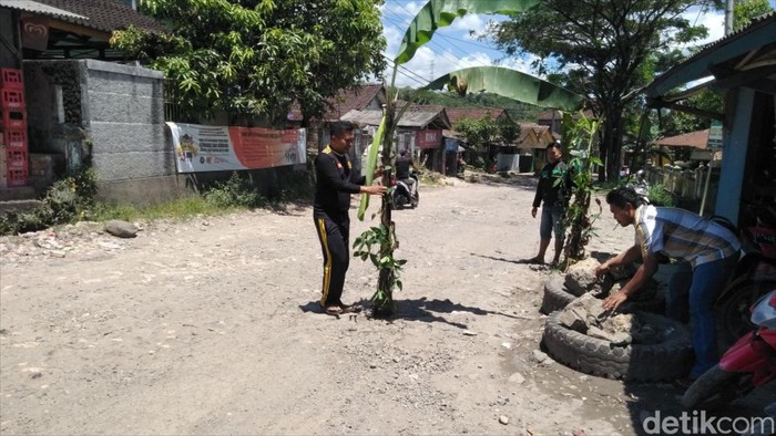 Jalan Rusak di Jampang Sukabumi Ditanami Pohon Pisang