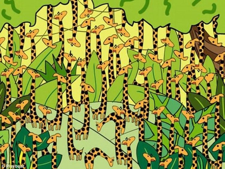 Relaks! Uji Kecerdasanmu dengan Menjawab Tebakan Berikut