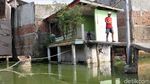 Mengintip Kampung Apung Kapuk yang Kini Bersih