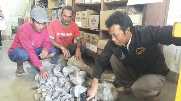 Petani di Ngawi temukan fosil gajah/