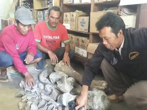 Penemu Fosil di Ngawi Minta Uang Lelah, Ini Kata Kadispora
