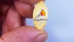 Keren! Seniman Ini Buat Micro Art di Permen, Telur hingga Biji Labu