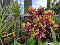 Hasil Jepretan Kamera Ganda Mi Mix 2S