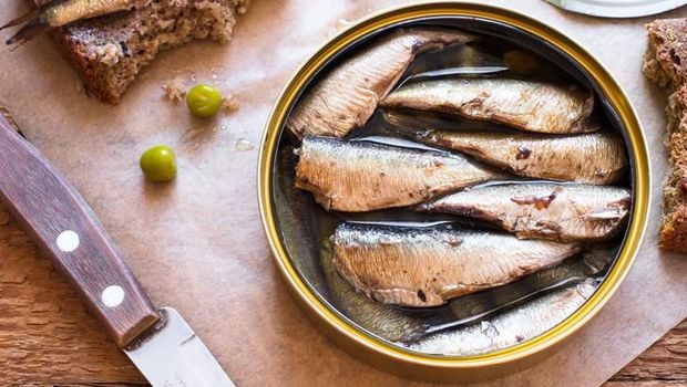 Fresh mackerel fish (Scomber scrombrus) on ice
