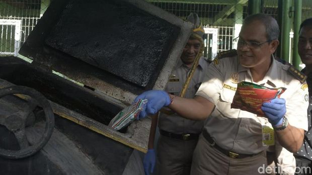 Petugas memusnahkan benih 