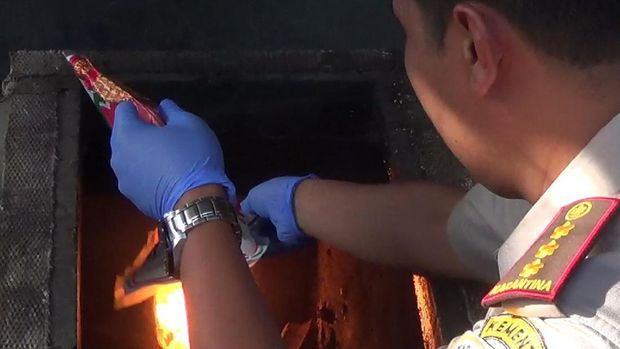 Benih dimusnahkan untuk menghindari penyebaran bakteri