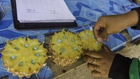 Dokter hewan memasukkan obat cacing ke buah nanas untuk gajah Sumatera di Pusat Konservasi Gajah Riau, Selasa (13/3).