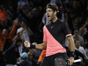 Del Potro Singkirkan Raonic, Lolos ke Semifinal