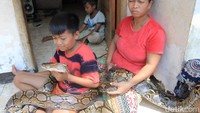 Neng Lusi (34) boleh disebut sosok wanita pemberani. Ibu tiga anak asal Soreang, Kabupaten Bandung, ini terbiasa menaklukkan ular. (Foto: Wisma Putra/deticom).