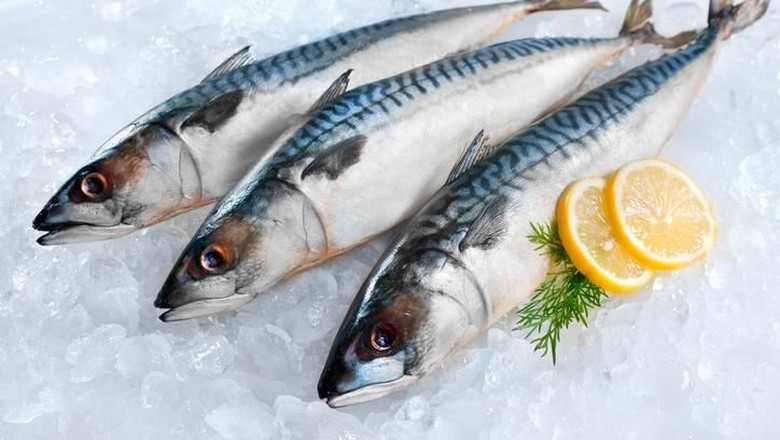 Ilustrasi sarden/ Foto: Istock Ilustrasi sarden/ Foto: Istock