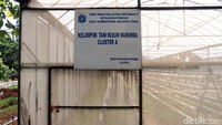 Pengelolaan greenhouse ini sudah diserahkan ke penghuni Rusun Marunda melalui Kelompok Tani Rusun Marunda. Namun, status kepengurusan Kelompok Tani yang tidak jelas membuat pengelolaan greenhouse tidak terarah.