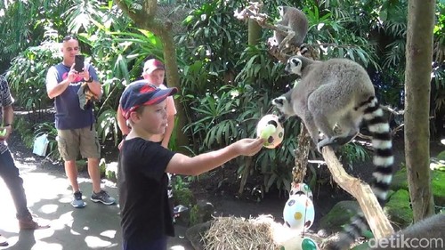 Bali Zoo
