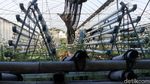 Greenhouse Rusun Marunda Tak Terawat