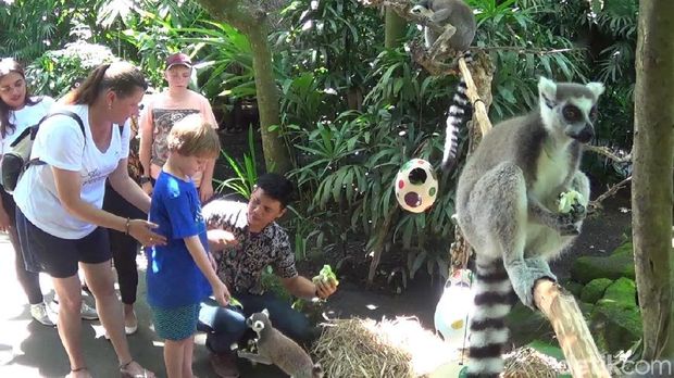 Saat Harimau dan Lemur Ikut Perayaan Paskah