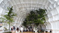Saat memasuki kapal, mata pengunjung akan dimanjakan dengan pemandangan sebuah pohon, bangku, dan tangga spiral yang mengarah ke bangunan induk. Semuanya berada di tengah-tengah interior kapal berkarat. Istimewa/Berodpanda