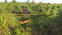 Tri Widyantoro dinyatakan hilang setelah mengantar penumpang pada Kamis (15/2). Saat itu Tri mendapat pesanan dari Palembang dengan tujuan Kenten Laut, Banyuasin. Setelah mengantar penumpang, Tri tak diketahui kabar beritanya. (Foto: ist.)