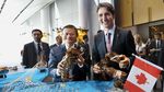 Ini Sosok Sederhana Miliarder Jack Ma, Suka Makan Mie Instan hingga Seafood