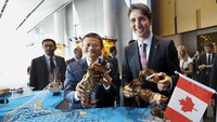 Perdana Menteri Kanada, Justin Trudeau, Jack terlihat semangat menunjukkan hasil lobster segar yang besar ke hadapan awak media. Foto: Istimewa