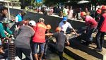 Perjuangan Menerangi Pulau Komodo