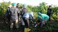 Apalagi dirinya saat ini memang sedang menjalani masa koas dibidang forensik. (Foto: Raja Adil Siregar/detikcom)