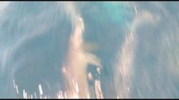Perisitwa ini terjadi di sekitar perairan Pulau Panggang, Kepulauan Seribu. (Foto: Screenshot video Dinas LH Kepulauan Seribu)