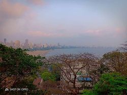 Ini Hasil Jepretan Kamera Belakang Oppo F7