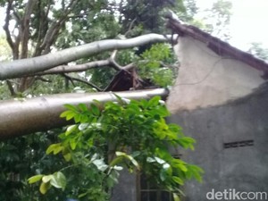 Angin Kencang di Blitar, Tiang Listrik Roboh Membelah Rumah Warga