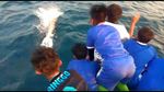 Foto: Penampakan Lumba-lumba Berenang Lincah di Kepulauan Seribu