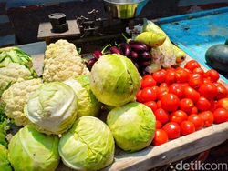 Ini Hasil Jepretan Kamera Belakang Oppo F7