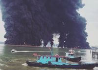 Teluk Balikpapan Tercemar Minyak, Pesut Mati