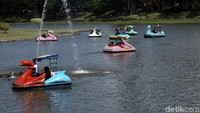 Wisatawan bermain sepeda bebek air 