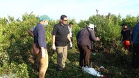 Dua pelaku yang ditangkap polisi ialah Bayu Irwansyah dan Poniman. Bayu ditembak pada bagian kaki. Sedangkan Poniman ditembak mati petugas karena melawan. Dari situ diketahui pembunuhan Try sudah direncanakan. Para pelaku membagi tugas. Otak kejahatan tersebut ialah seorang mahasiswa bernama Tyas. (Foto: Raja Adil Siregar/detikcom)