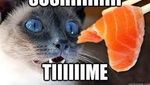 Ini Nih 9 Meme Kocak yang Cocok Buat Pecinta Sushi!
