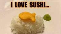 Mungkin begini tampilan sushi kalau lagi kere. Hanya secuil nasi dengan topping biskuit berbentuk ikan dan secuil washabi. Foto: Istimewa